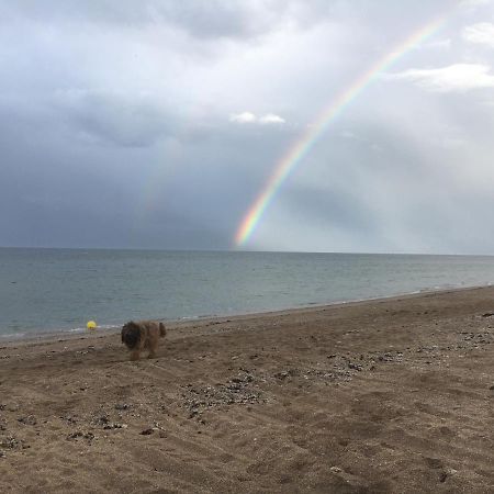 B&B De La Cote De Nacre Hermanville-sur-Mer Eksteriør billede